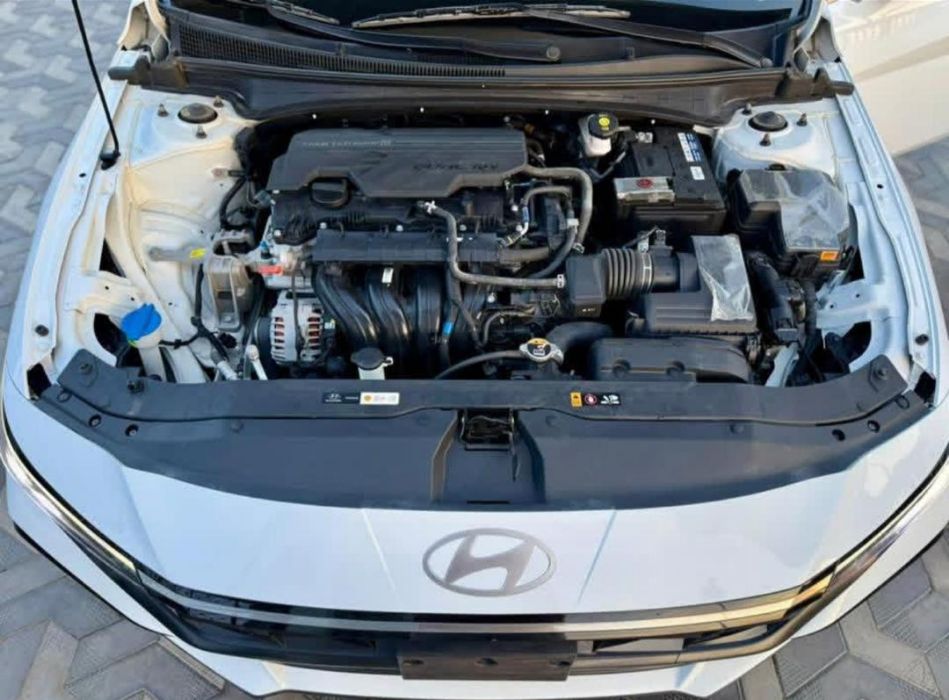 Elantra 2024