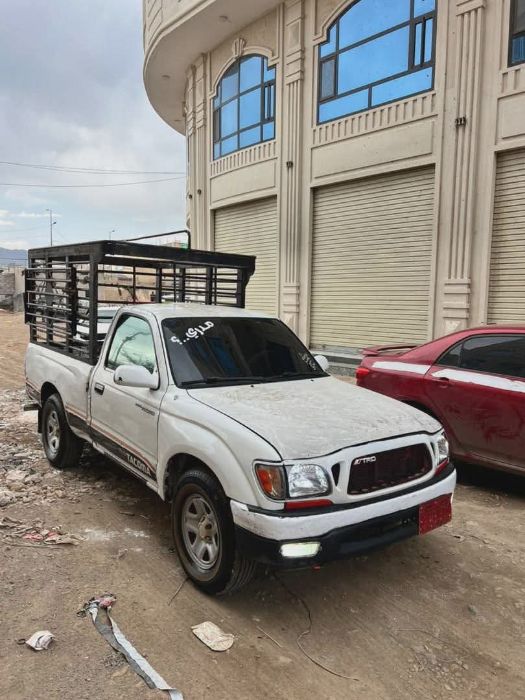 تاكوما