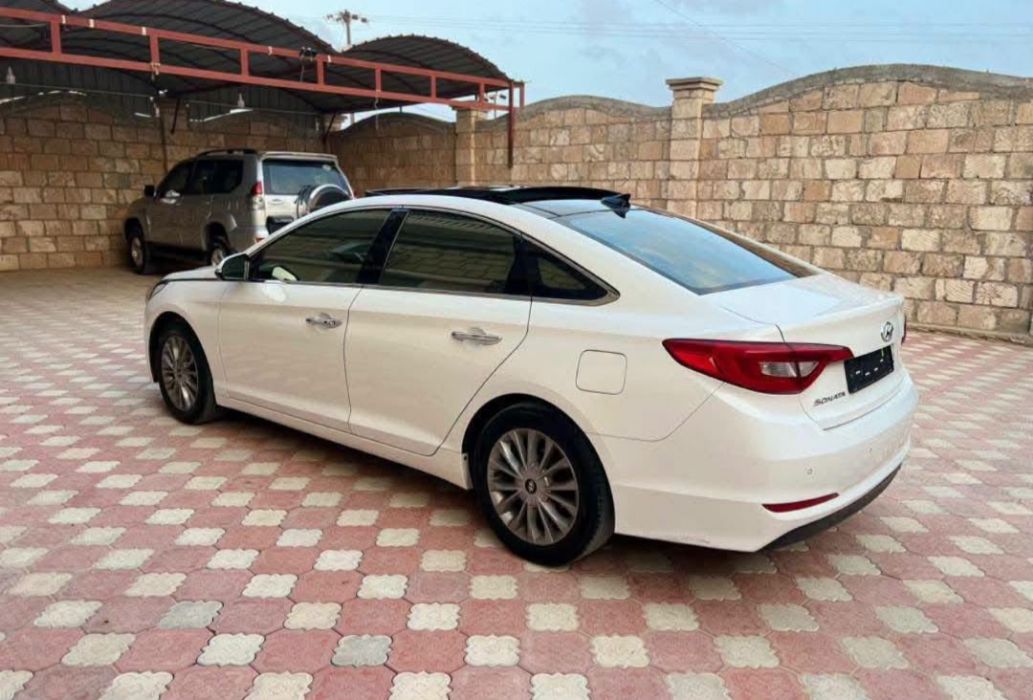 سوناتا كوري