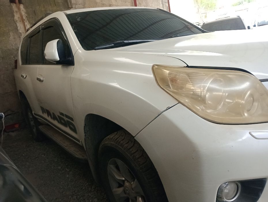 برادو