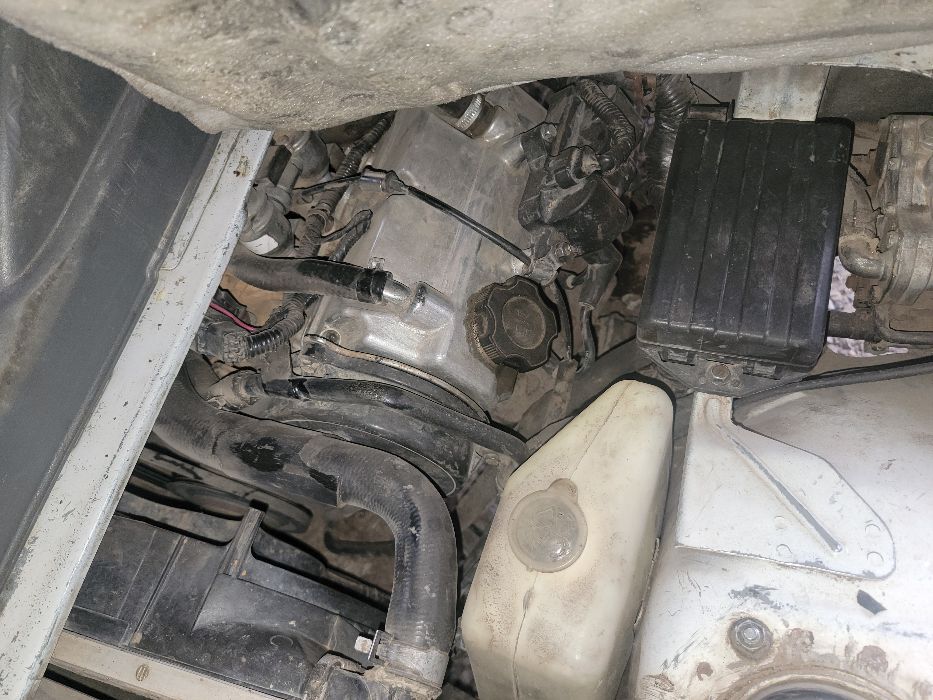 باص دايو