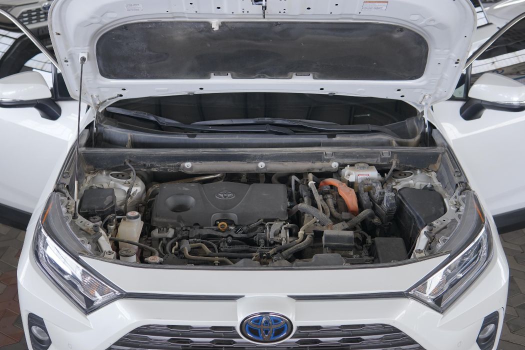 رافور Rav4