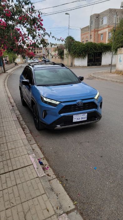 راف فور