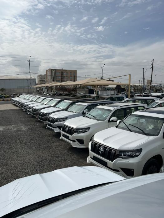 برادو هات جميع المديلات