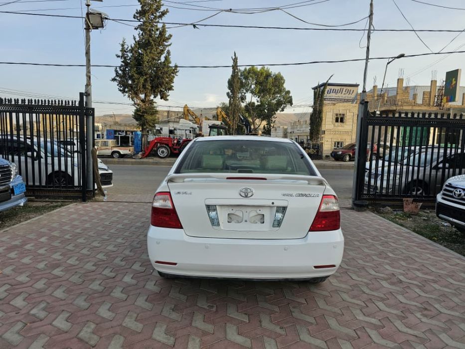 كورلا