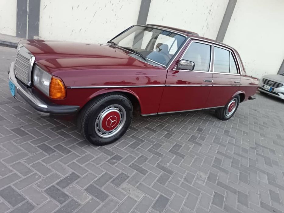 كرسيدا 1984