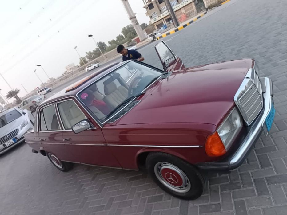 كرسيدا 1984
