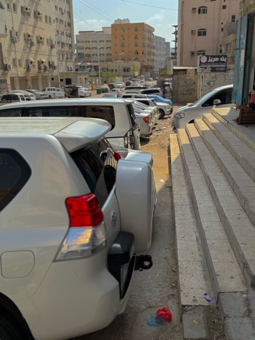 برادو